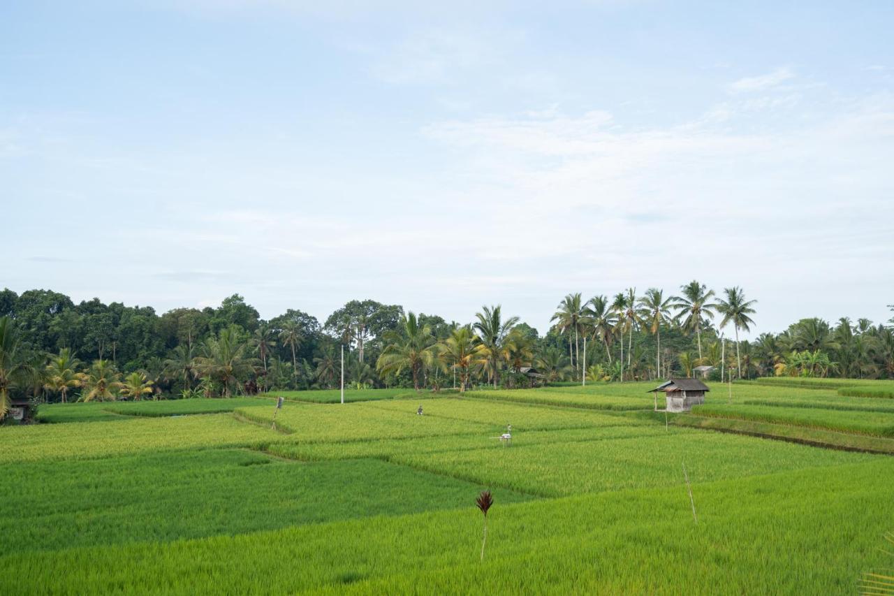 Uma Sebatu Villa Tegallalang  Exterior photo